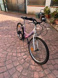 bicicletta mountain bike rosa