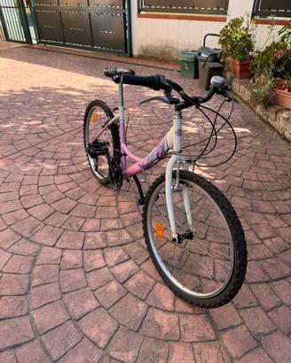 bicicletta mountain bike rosa