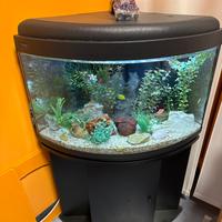 Acquario ad angolo
