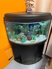 Acquario ad angolo