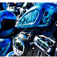 Harley Davidson Sportster XL 1200V Seventy Two 