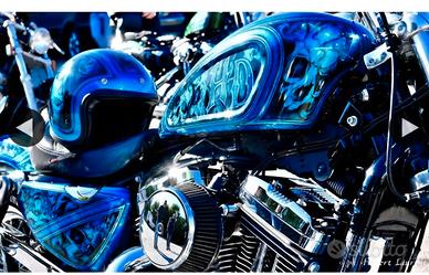 Harley Davidson Sportster XL 1200V Seventy Two 