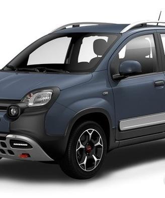 Ricambi Fiat Panda Cross