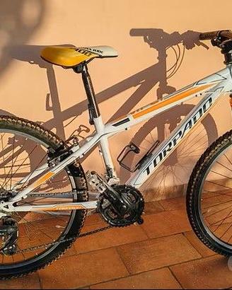 MTB BAMBINO TORPADO VIPER 24