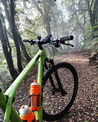 Trek Procaliber 9.6 Carbon 29" – Anno 2020