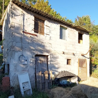 Casale con uliveto + altre e due particelle