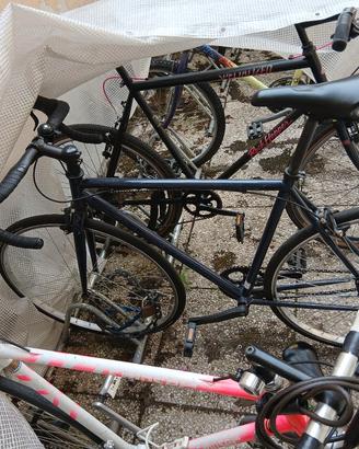 bici bicicletta