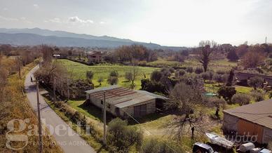 Terreno Agricolo Casal Velino [cod. rif6027782VCG]