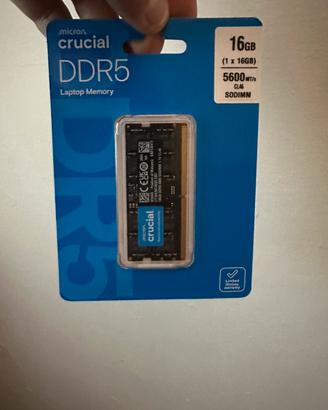 Memoria ram ddr5 16 gb  crucial sodimm 5600