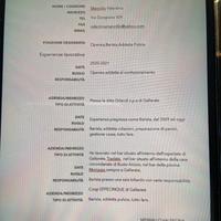 Operaia, barista ( no sabato e domenica )