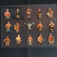 COLLEZIONE SPILLE WRESTLING
