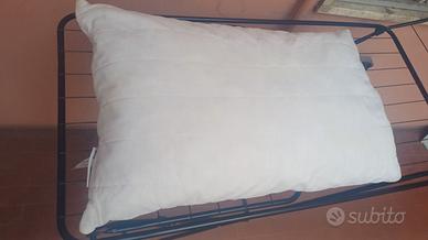 Cuscino disinfettato come nuovo