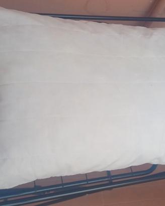 Cuscino disinfettato come nuovo