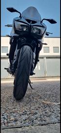 YAMAHA FZ1 FAZER 1000 cc 150cv