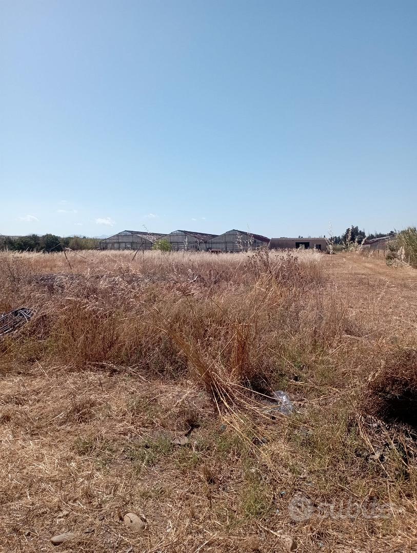 Serre + terreno agricolo - Vista 4