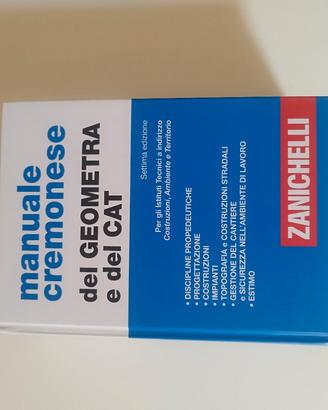 Manuale del geometra - Zanichelli 