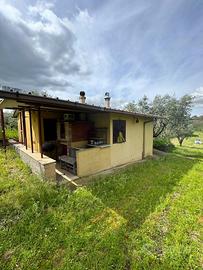 Finocchio rustico panoramico con terreno 7000 mq