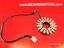 Immagine 11