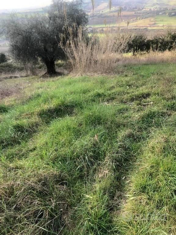 Immobile in asta di 15242 m² a Gradara - Vista 2