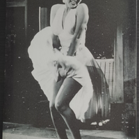 2 stampe su tela con tema Marilyn Monroe.