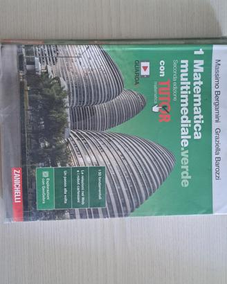 matematica multimedale .verde 1 e 2 