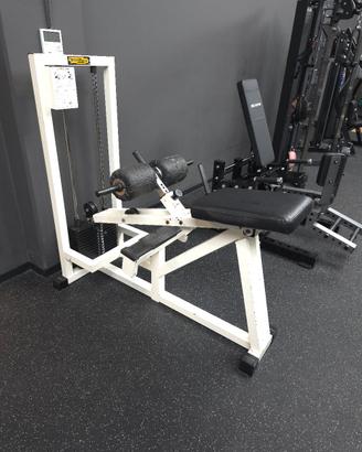 Calf Machine Techonogym
