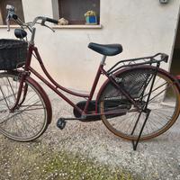 Bicicletta Donna Holland