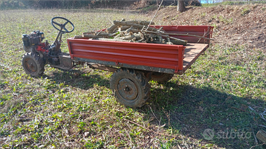 Trattorino cassonati