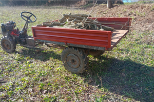 Trattorino cassonati