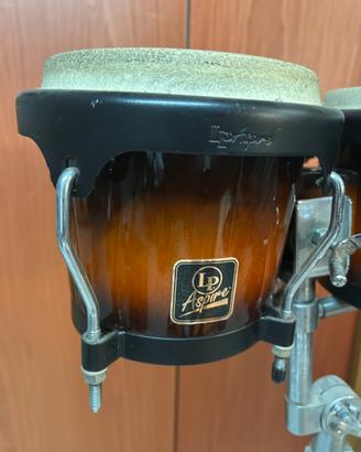 bongo LP Aspire con cavalletto