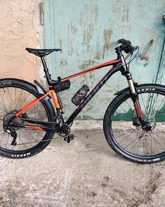 bici giant