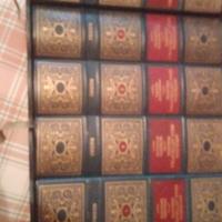 libri collana di letteratura italiana 