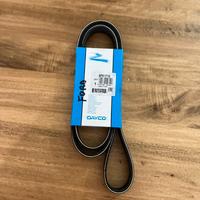 Cinghia servizi ford focus 1800 tdci 74kw