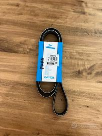 Cinghia servizi ford focus 1800 tdci 74kw