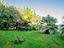 Immagine 29