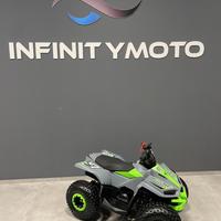Lem quad grizzly 110cc