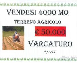 Terreno agricolo di 4000 mq a Varcaturo