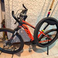 Ebike
