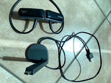 Lettore MP3 Sportivo Sony Walkman NWZ-W253