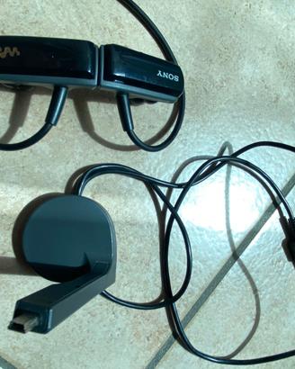Lettore MP3 Sportivo Sony Walkman NWZ-W253