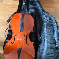 Mavis Violoncello 3/4