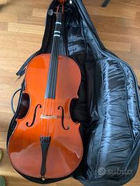 Mavis Violoncello 3/4