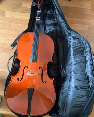 Mavis Violoncello 3/4