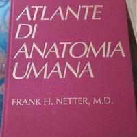 Netter Atlante di anatomia umana