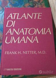 Netter Atlante di anatomia umana