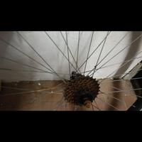 ruota con cerchione 