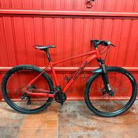 Bicicletta Lombardo Sestriere 350