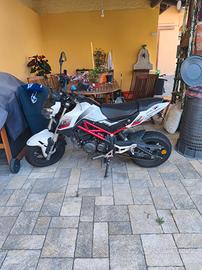 Benelli tornado naked