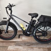 Bicicletta Elettrica 