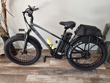 Bicicletta Elettrica 